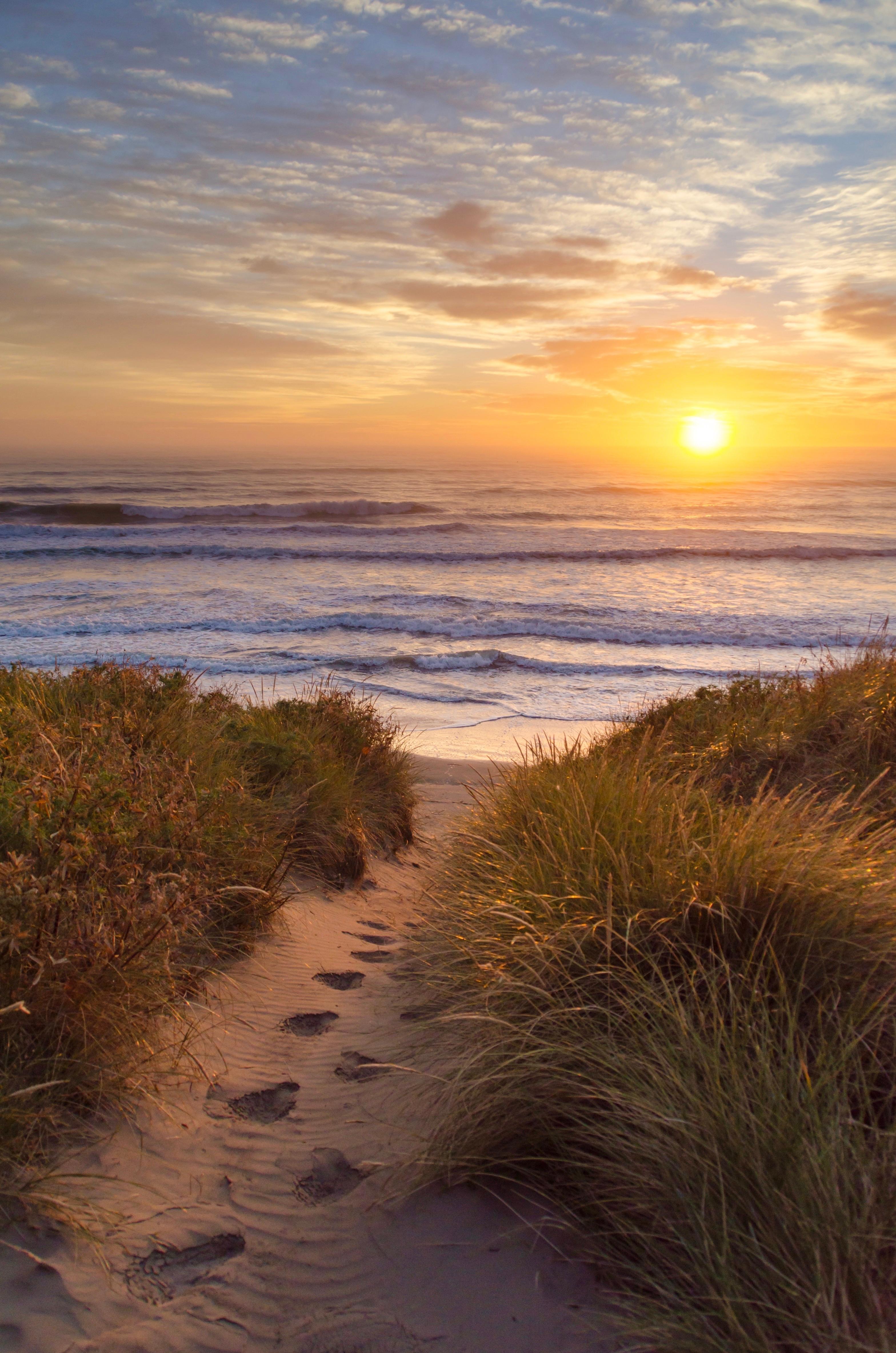 An image that cannot be loaded at the moment